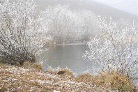 Does It Snow in New Zealand? Aotearoa Winter Wonders