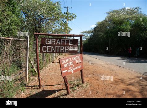 Giraffe Centre Nairobi, Kenya Stock Photo - Alamy