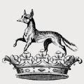 Fox Family Crest and Coat of Arms : MyFamilySilver.com