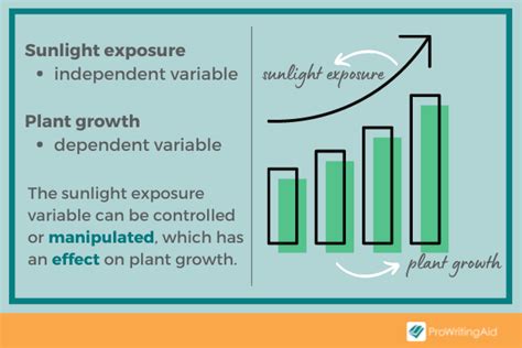 Dependent Variable: Definition and Examples