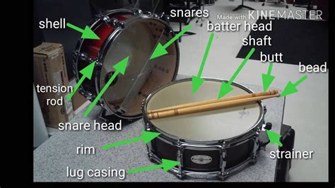 Bass Drum Parts Diagram - General Wiring Diagram