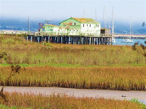 Pier House Half Moon Bay Photograph by John King I I I - Fine Art America