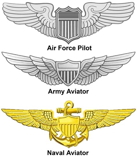 Free Military Badge Cliparts, Download Free Military Badge Cliparts png ...