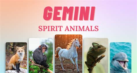 Gemini Spirit Animals That Embody This Zodiac Sign So Syncd, 47% OFF