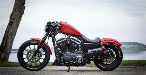 These style of Sportsters?? - Harley Davidson Forums