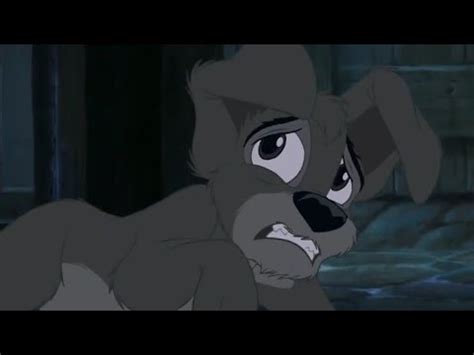 Saving Scamp/Buster's Defeat Scene - Lady and the Tramp 2 Scamp's Adventure HD - YouTube