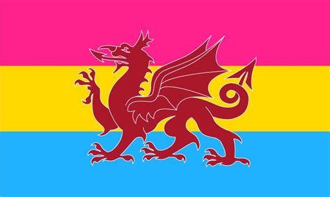 Buy Ddraig Goch Pan Sexual Flag | Wales Pride Online | MrFlag