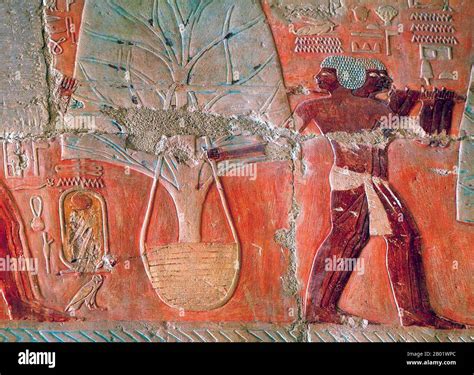 Hatshepsut punt hi-res stock photography and images - Alamy