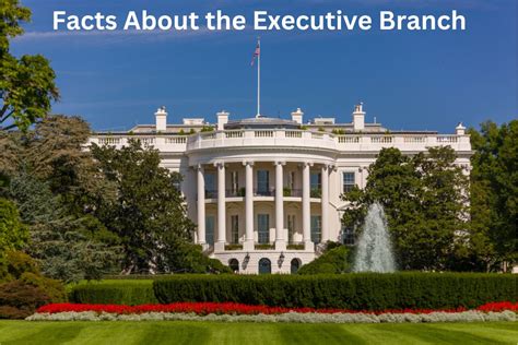 15 Facts About the Executive Branch - Have Fun With History