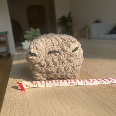 Angry Desert Rain Frog Amigurumi Crochet squeak Toy - Etsy