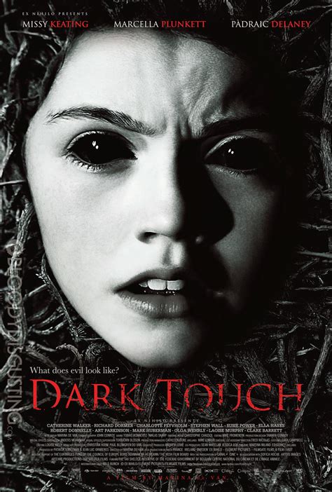 El Ojo del Horror: Crítica: Dark Touch (2013)