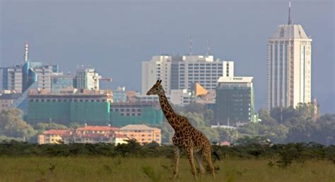 Nairobi City Free Tour - Nairobi | FREETOUR.com