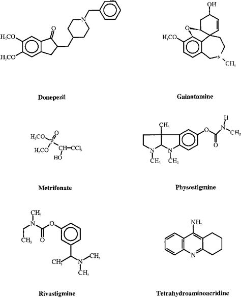 Acetylcholinesterase Structure