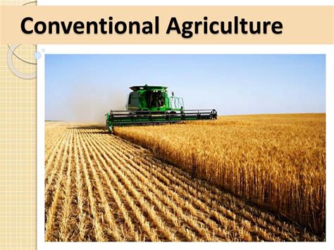 PPT - 11/4 Bellringer : Conventional Agriculture What is agriculture ...