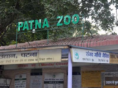 Bihar govt orders closure of tiger reserve, Patna zoo | Patna News - Times of India