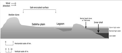 4) Formation of coastal sabkhas (after Akili and Torrance, 1981 ...