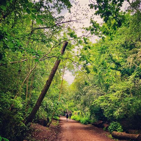 Parks And Gardens In London: 111 Gorgeously Green Spots To Visit