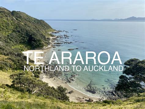 Te Araroa 5: Northland to Auckland - A STRAY LIFE