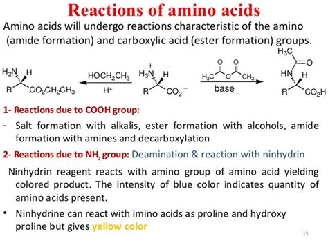 Amino acid ppt