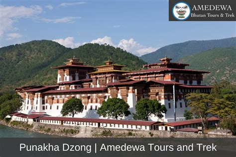 Punakha Dzong | Buddhist temple in Bhutan | Amedewa Tours and Trek