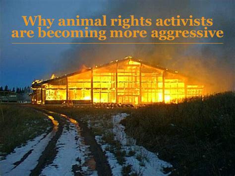 Animal Rights Activists: Why Are They Becoming More Aggressive?