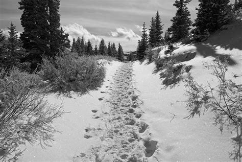 Colorado Winter Ski and Snowshoe Trail Photograph by Cascade Colors | Fine Art America