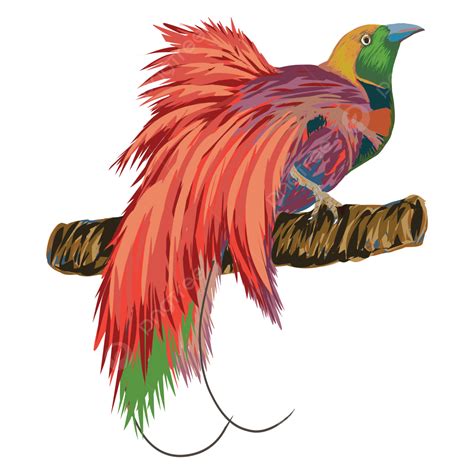 Ilustración De Ave Del Paraíso Vector PNG , Pájaros Del Paraiso ...