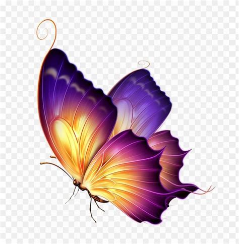 Butterfly Png Transparent Image - Purple Yellow Butterfly PNG Transparent With Clear Background ...