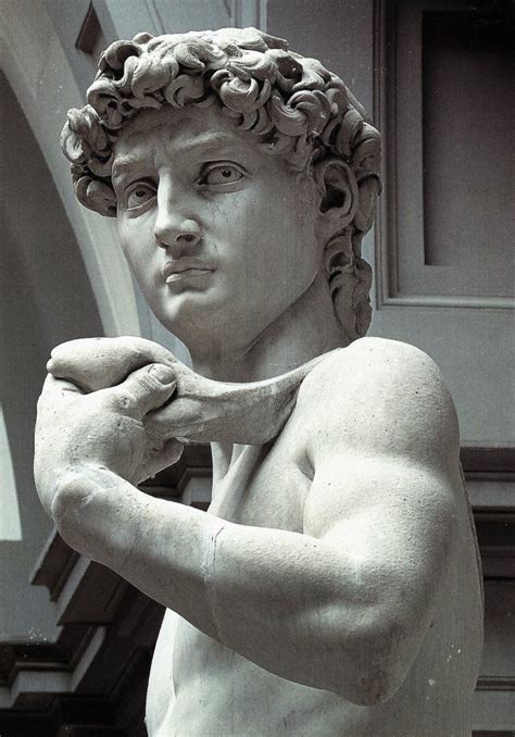 Detail of "David" (circa 1501-1504) by Michelangelo Buonarroti | Follow ...