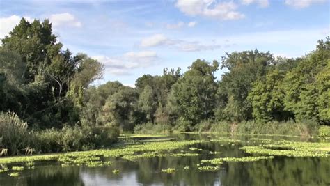 Backwater Of Oder River, Lower Oder Valley National Park, Germany Stock Footage Video 4738259 ...