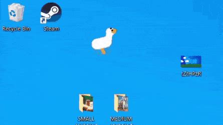 The goose for your desktop, funny GIFs - Gifvif