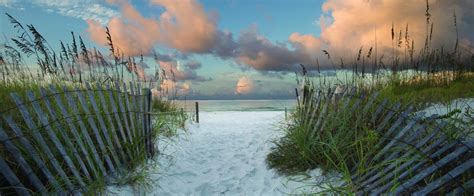 Henderson Beach State Park | Florida State Parks