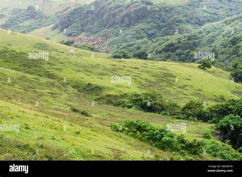 Rolling Hills of Batanes, Philippines Stock Photo - Alamy