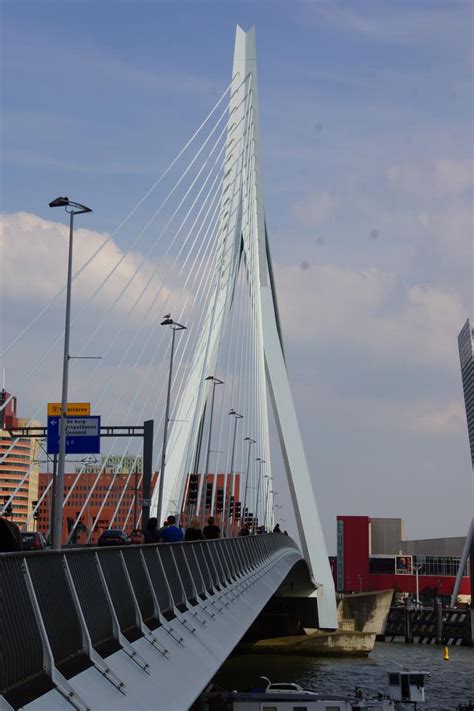 Structurae [en]: Erasmus Bridge