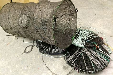 Illegal crayfish traps recovered from North East river - GOV.UK