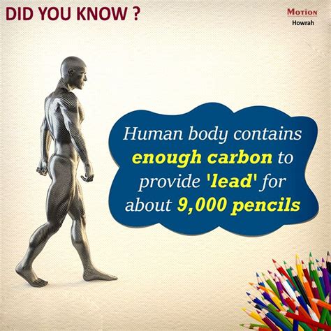 Amazing Facts About Human Body | Facts about humans, Human body, Human