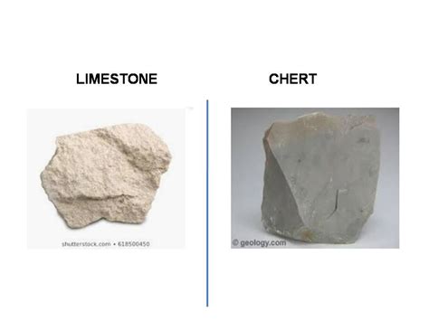 [Solved] 1. How would you distinguish micrite (limestone) from chert ...