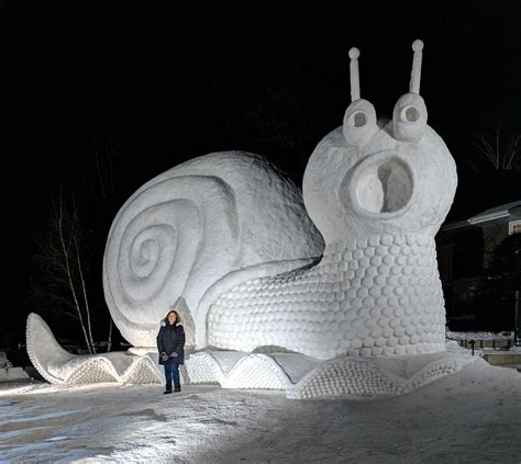 Snow Sculpture, New Brighton, Minnesota. : r/HumanForScale