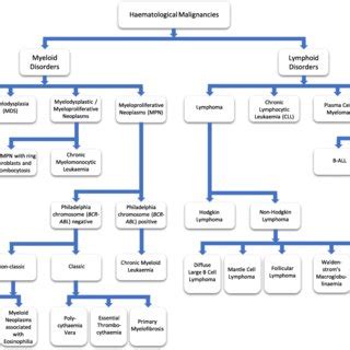 (PDF) Application of Genomics to Clinical Practice in Haematological Malignancy