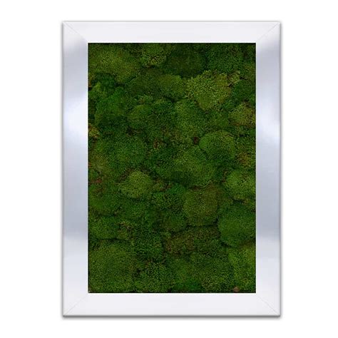 Moss Wall Art – FLORAL ART