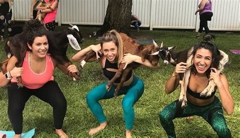 Goat Yoga: The Newest Fitness Trend Across the Nation