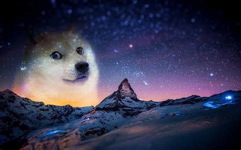 Wallpaper : animals, night, snow, memes, doge, Arctic, astronomy, Aurora, star, screenshot ...