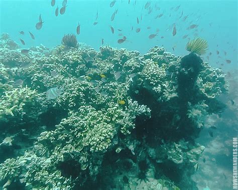 Mantigue Island | Camiguin's Precious Jewel — Jea Wanders