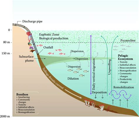 Environmental impacts of deep-sea tailings placement (DSTP): Tailings ...