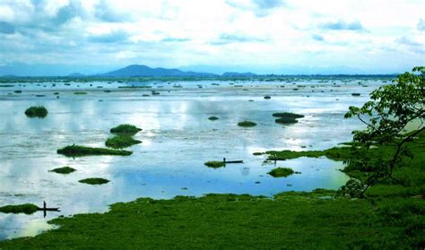 Travel Trip Journey : Loktak Lake Largest Floating Lake in India