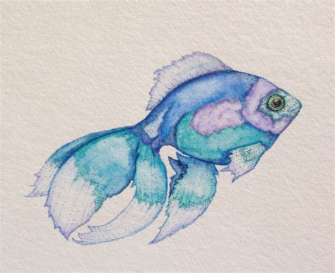 Watercolor Fish Art at PaintingValley.com | Explore collection of ...