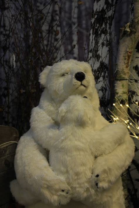 Polar bear winter scene stock image. Image of white, lights - 71482395