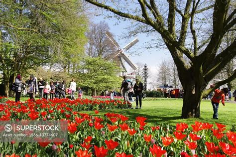 Daily Life - People enjoying at Keukenhof Park on April in Lisse ...