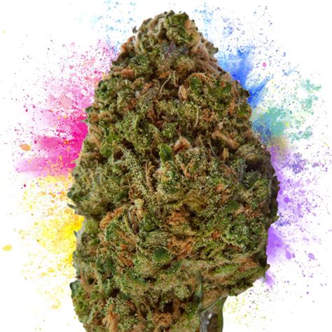 11 Best Cannabis Strains for Creativity - Sensi Seeds