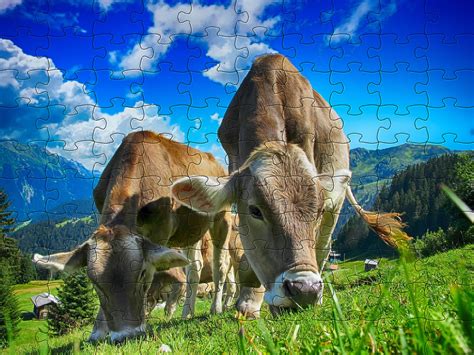 Farm Jigsaw Puzzle Online - Cows and Beautiful Scenery